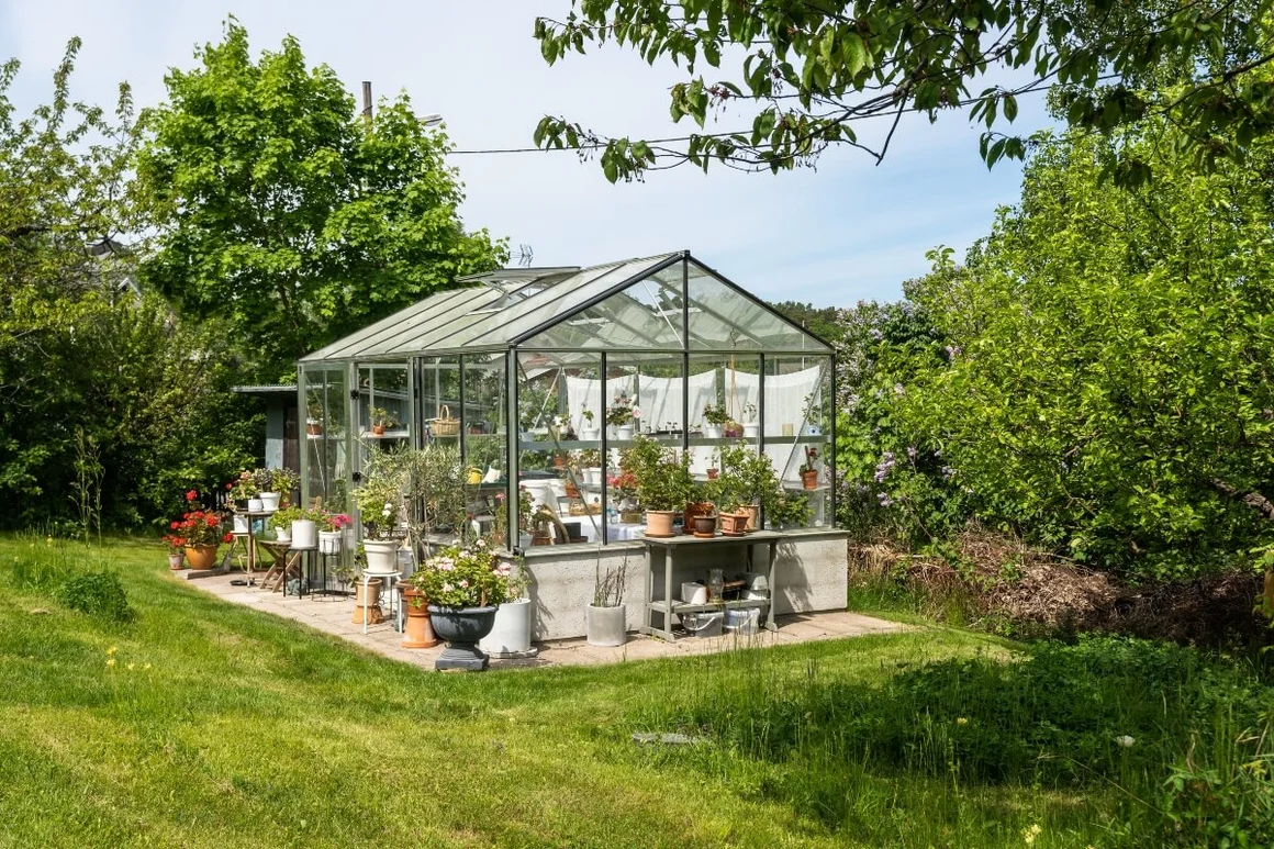Gewächshaus im Garten mit vielen Pflanzen